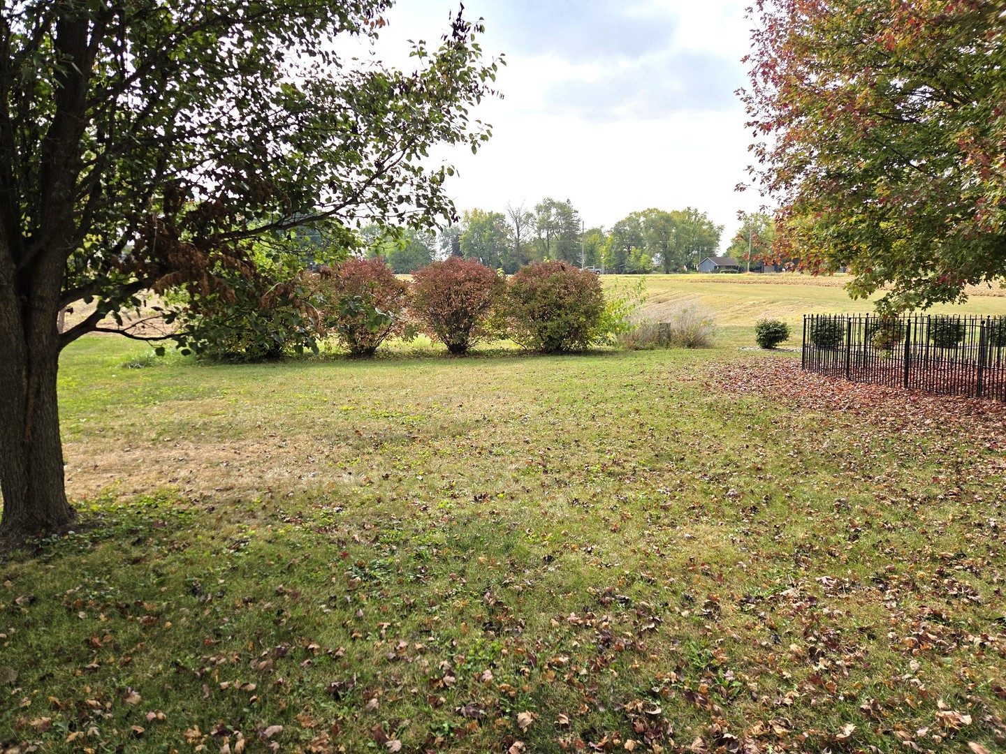 1494 Timber Ridge Court, Kankakee, IL 60901