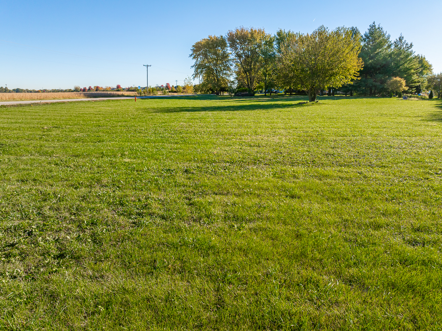 Lot 09 W Renwick Road, Plainfield, IL 60544
