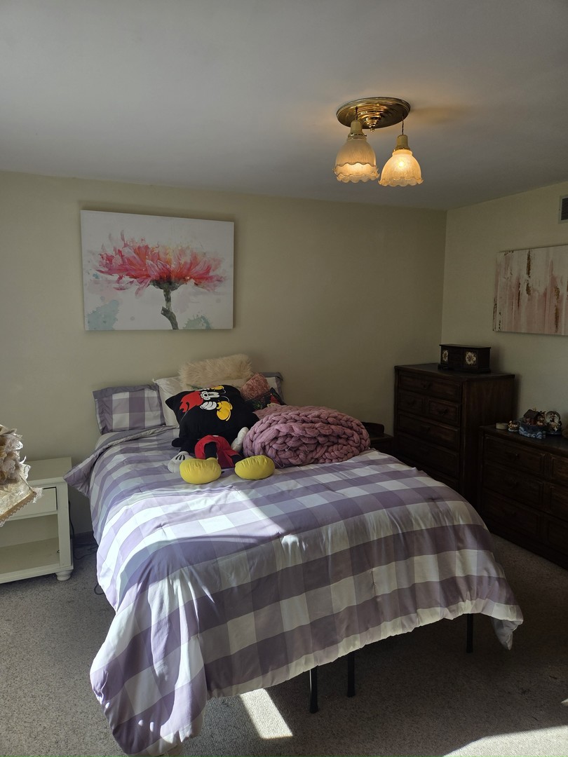 1170 McCarthy Road, Lemont, IL 60439