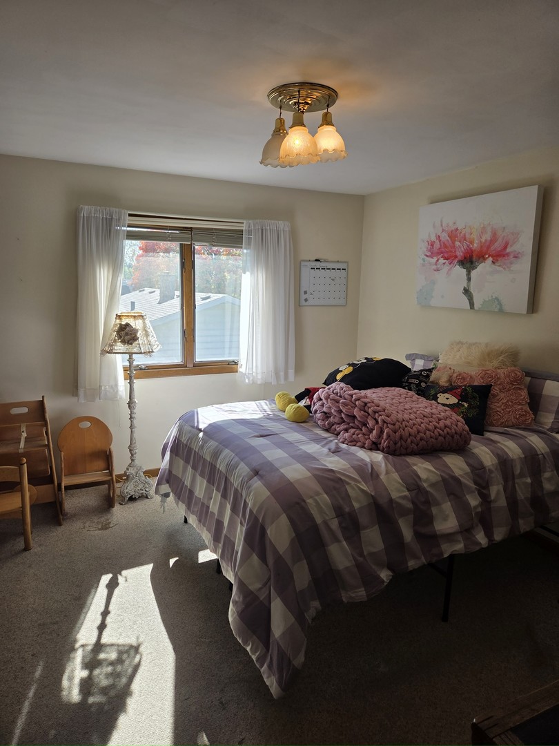 1170 McCarthy Road, Lemont, IL 60439