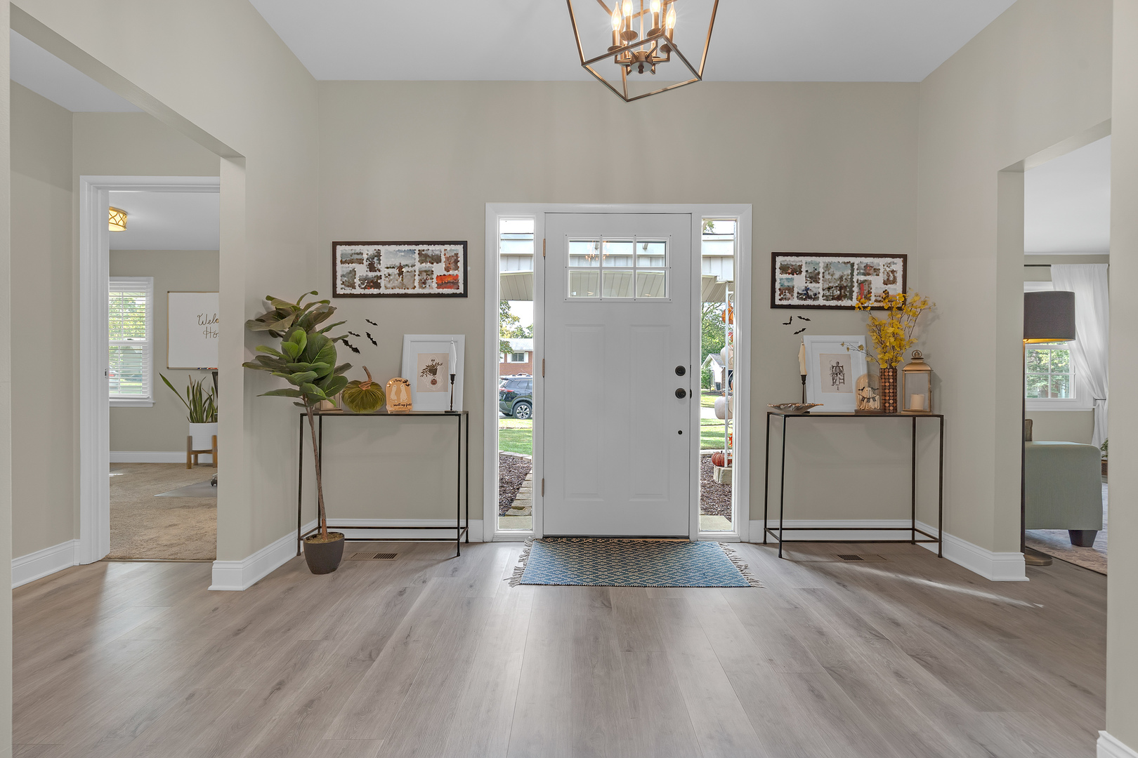 6703 Carpenter Court, Woodridge, IL 60517