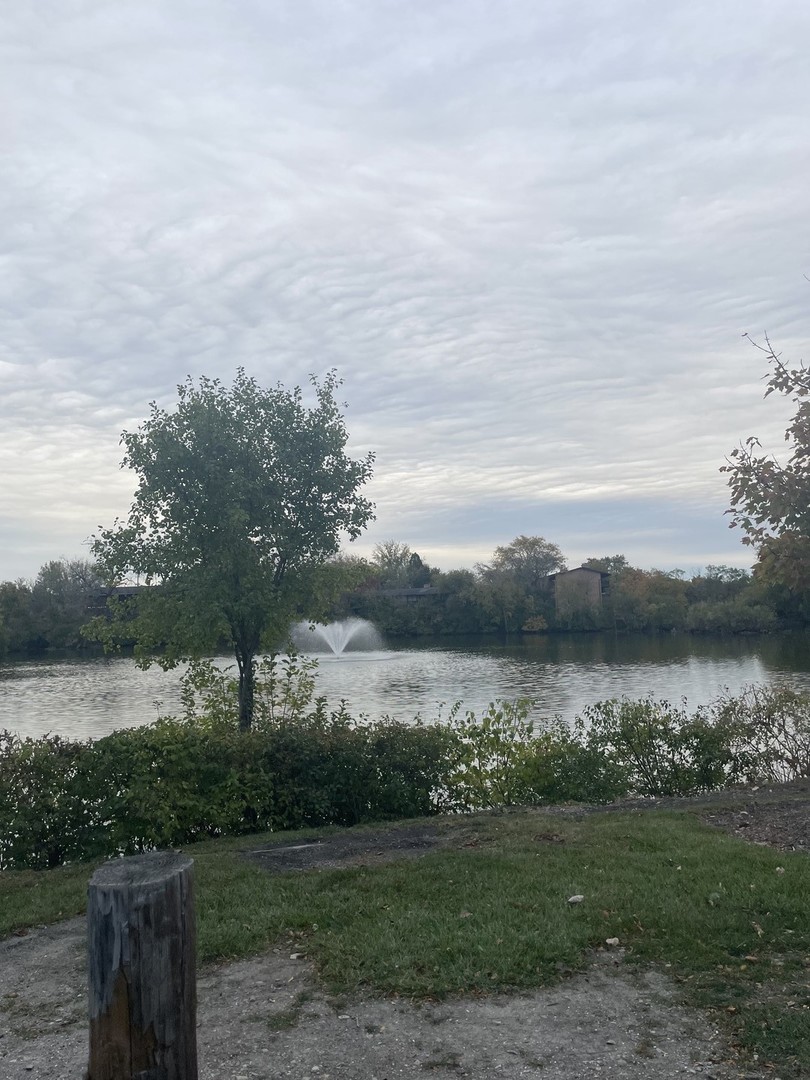 5900 Oakwood Drive #1L, Lisle, IL 60532