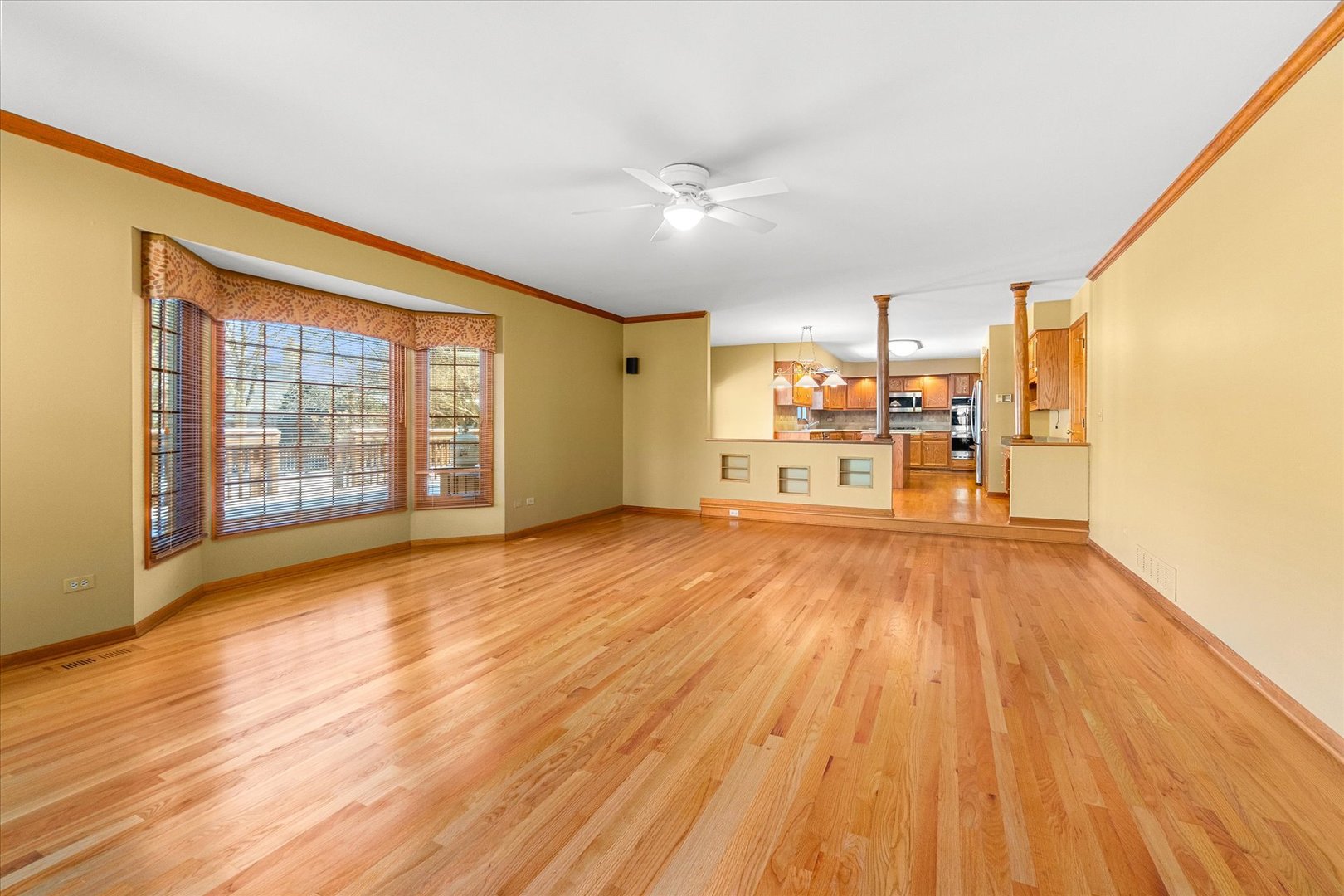 3720 Mandeville Lane, Naperville, IL 60564