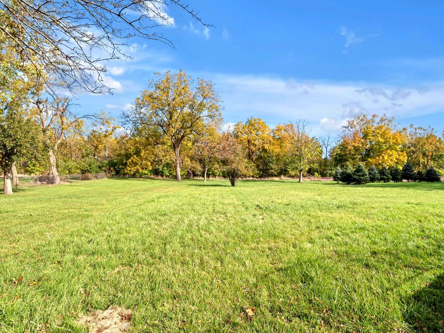 1459 Vincennes Street, Crete, IL 60417