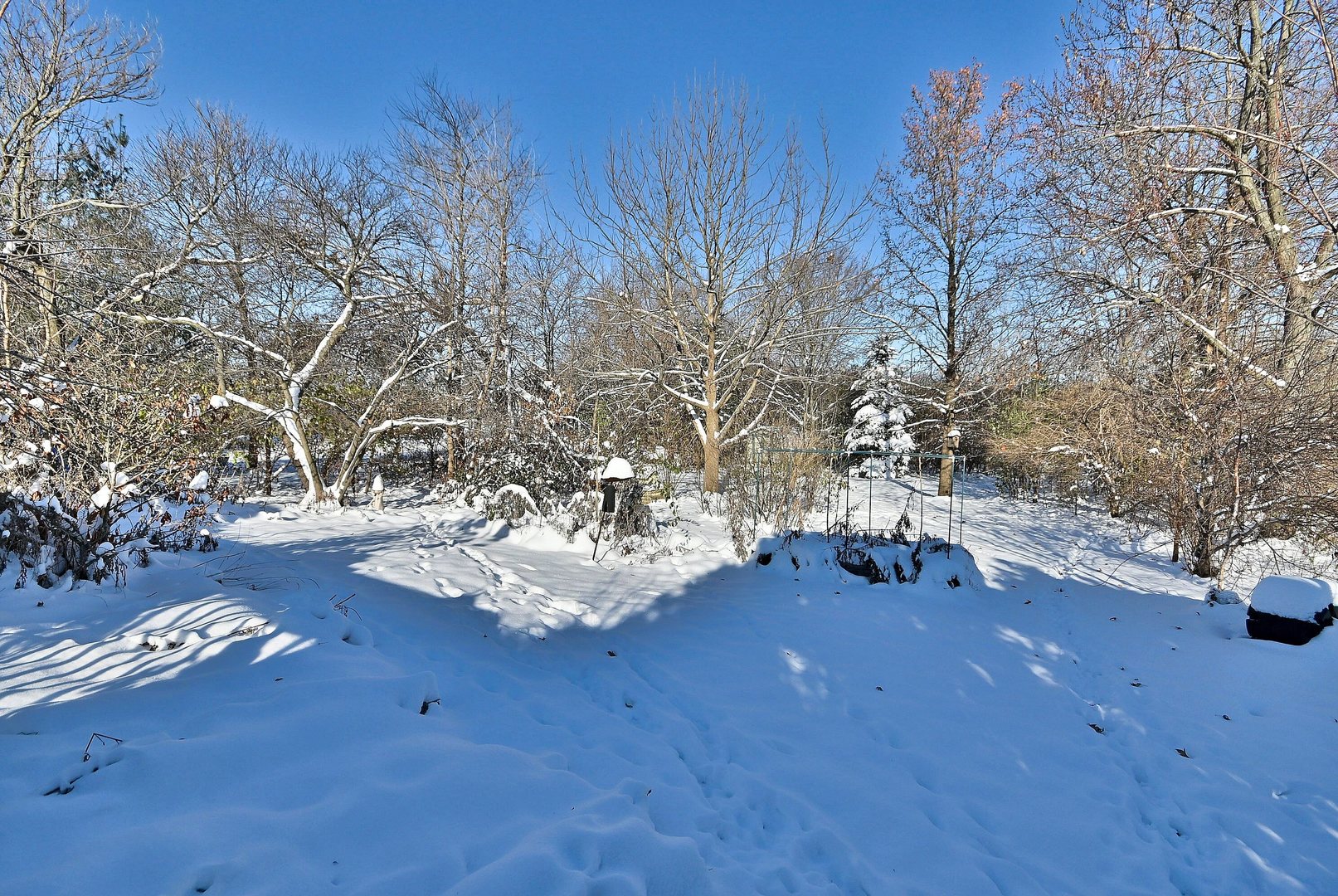 532 66th Street, Downers Grove, IL 60516