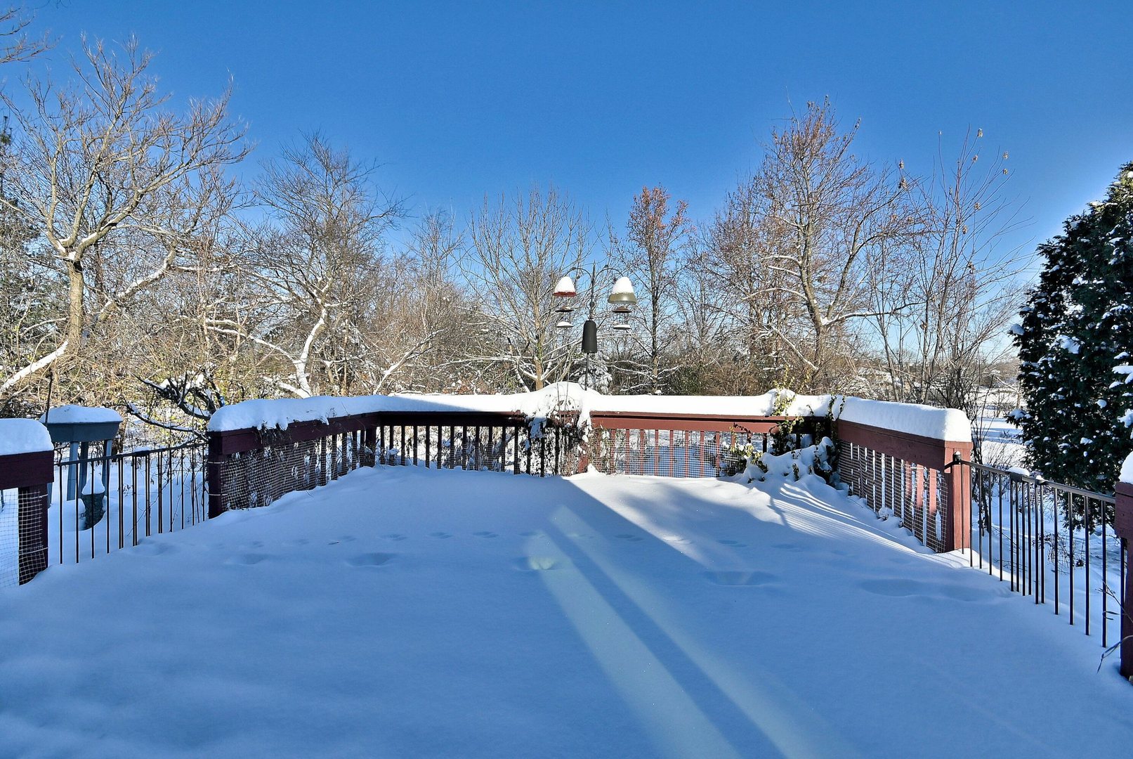 532 66th Street, Downers Grove, IL 60516