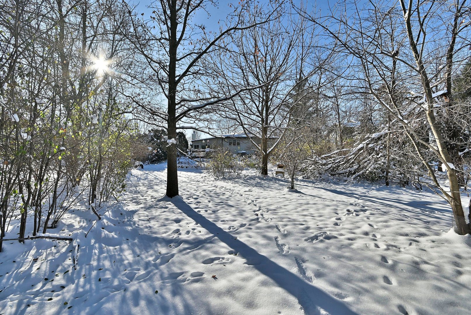 532 66th Street, Downers Grove, IL 60516