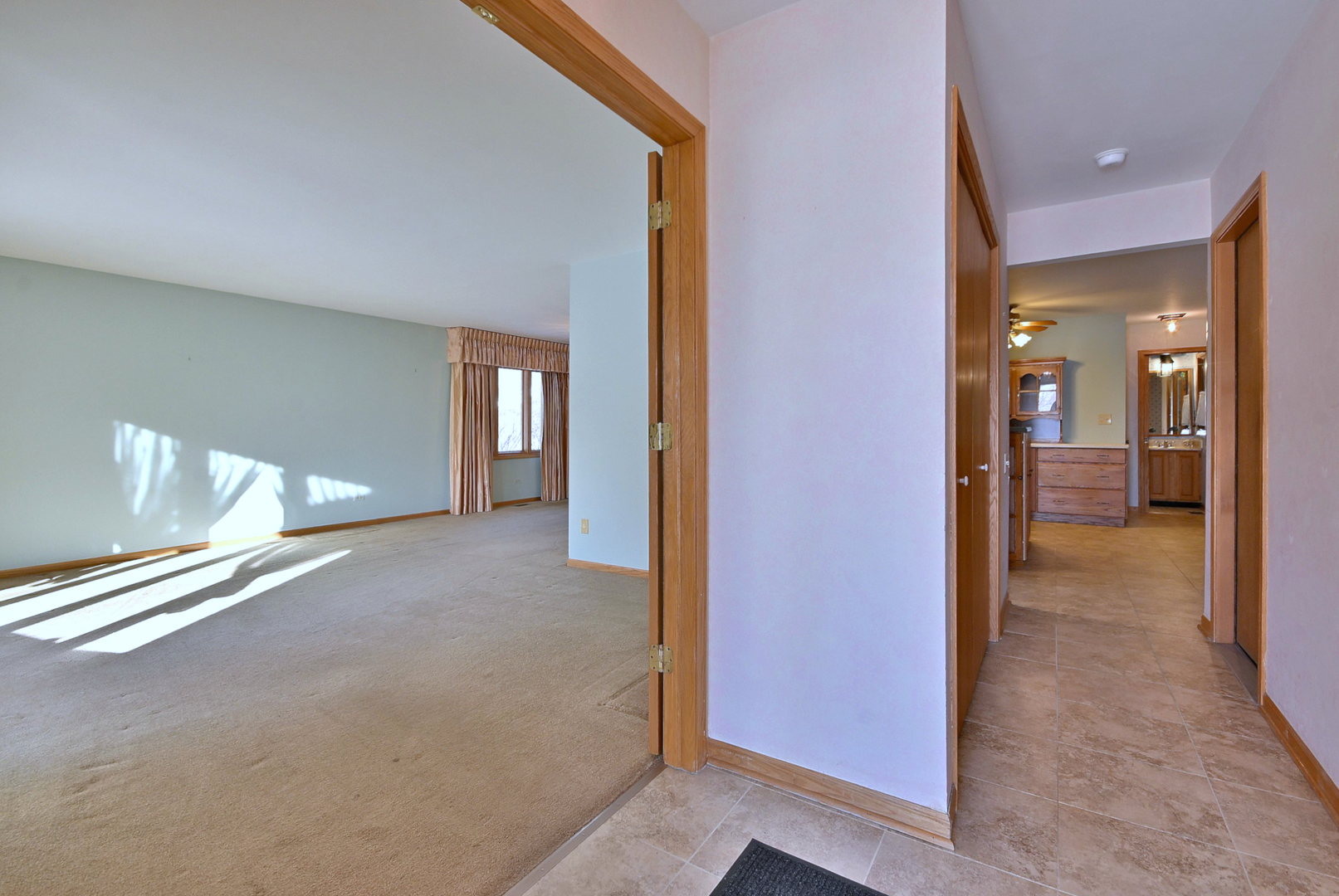 532 66th Street, Downers Grove, IL 60516