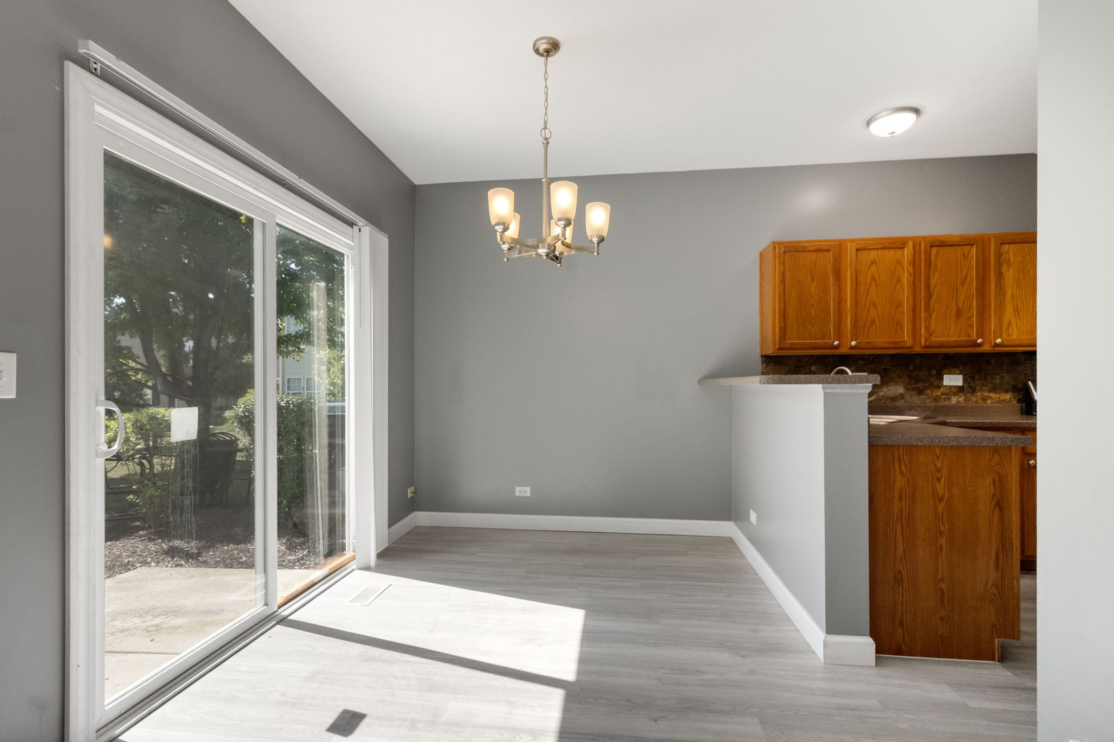 3742 Pope Court #3742, Plano, IL 60545