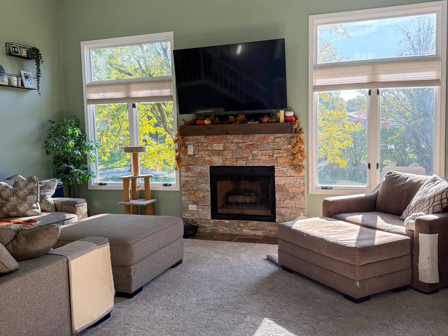 16639 Lismore Court, Tinley Park, IL 60477