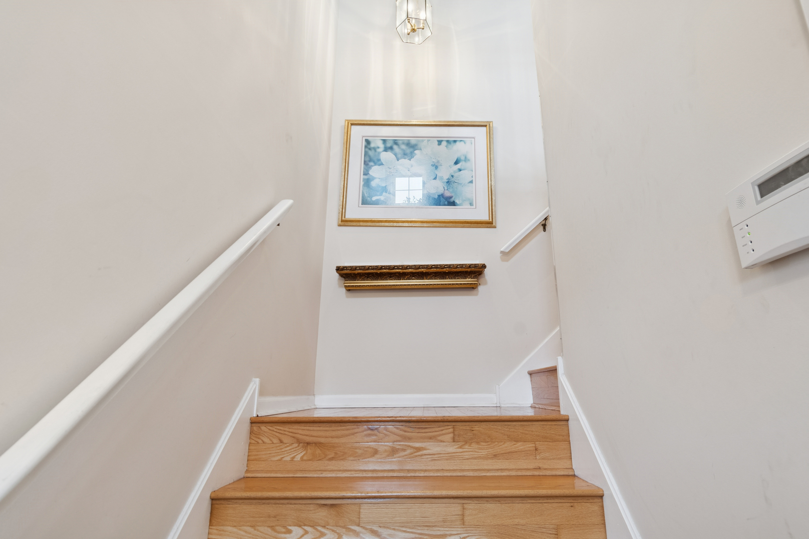 6 Arboretum Drive, Lombard, IL 60148