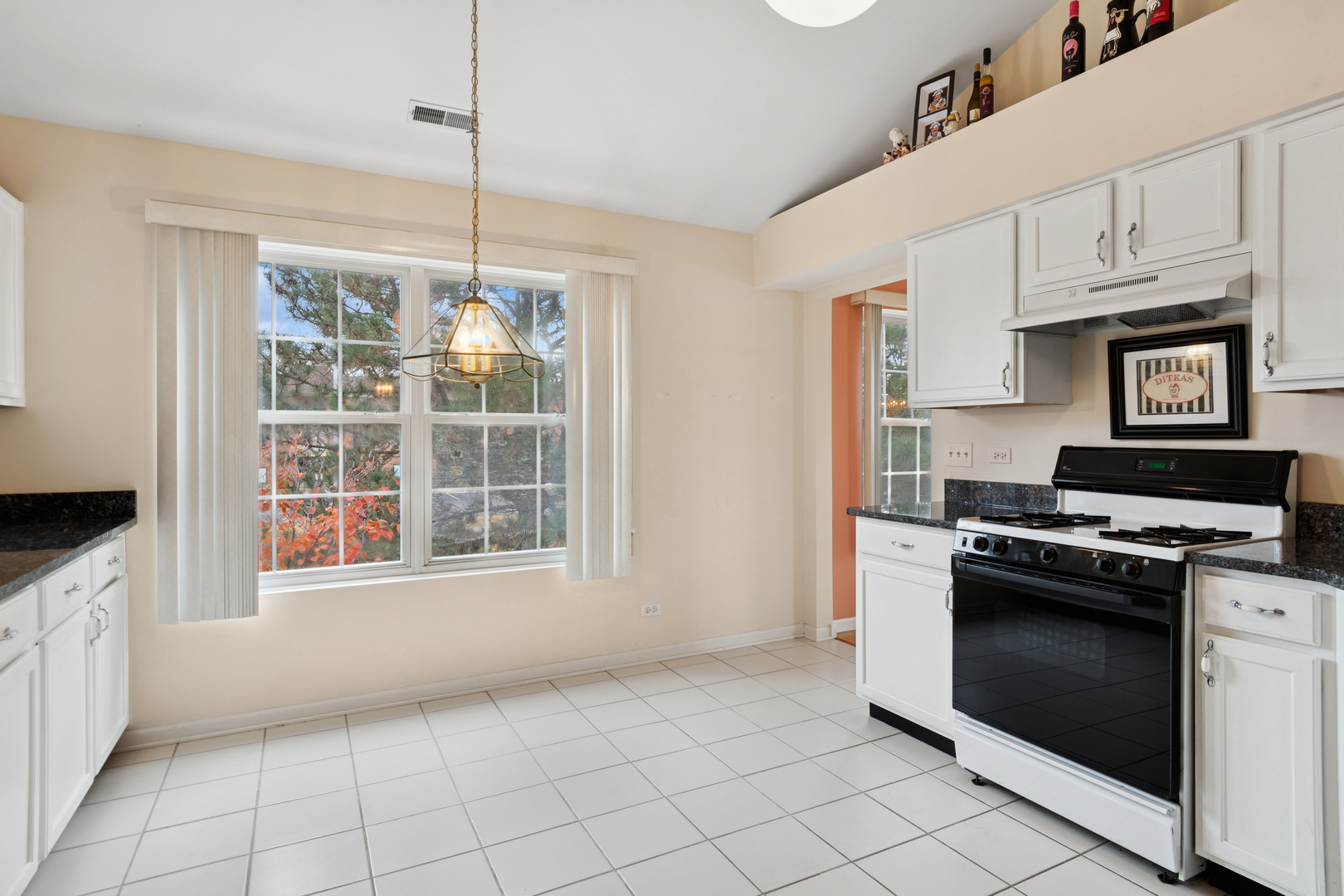 6 Arboretum Drive, Lombard, IL 60148