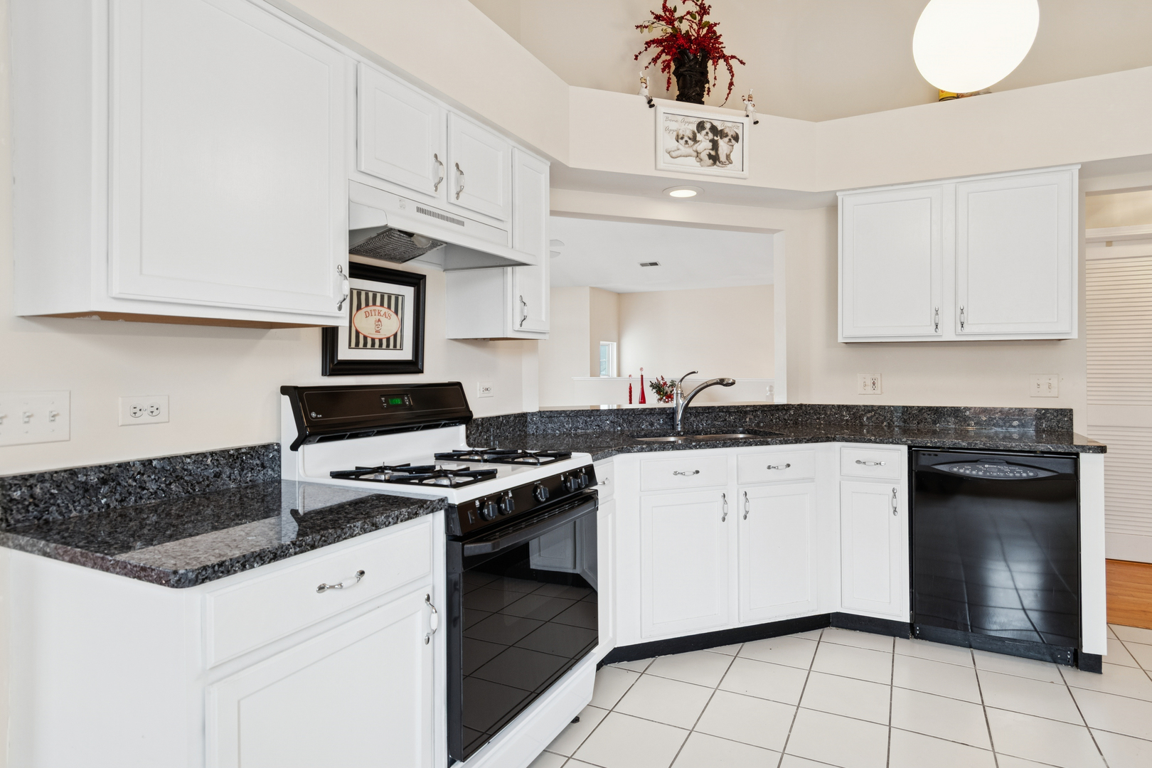 6 Arboretum Drive, Lombard, IL 60148