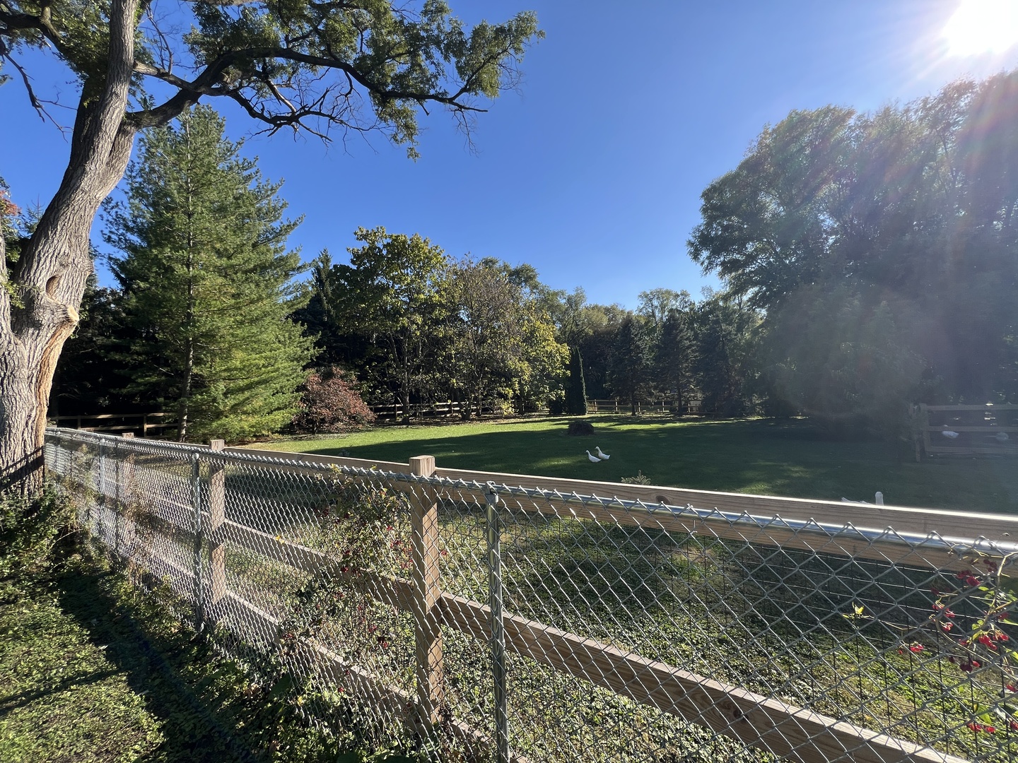 29W051 Warrenville Road, Warrenville, IL 60555