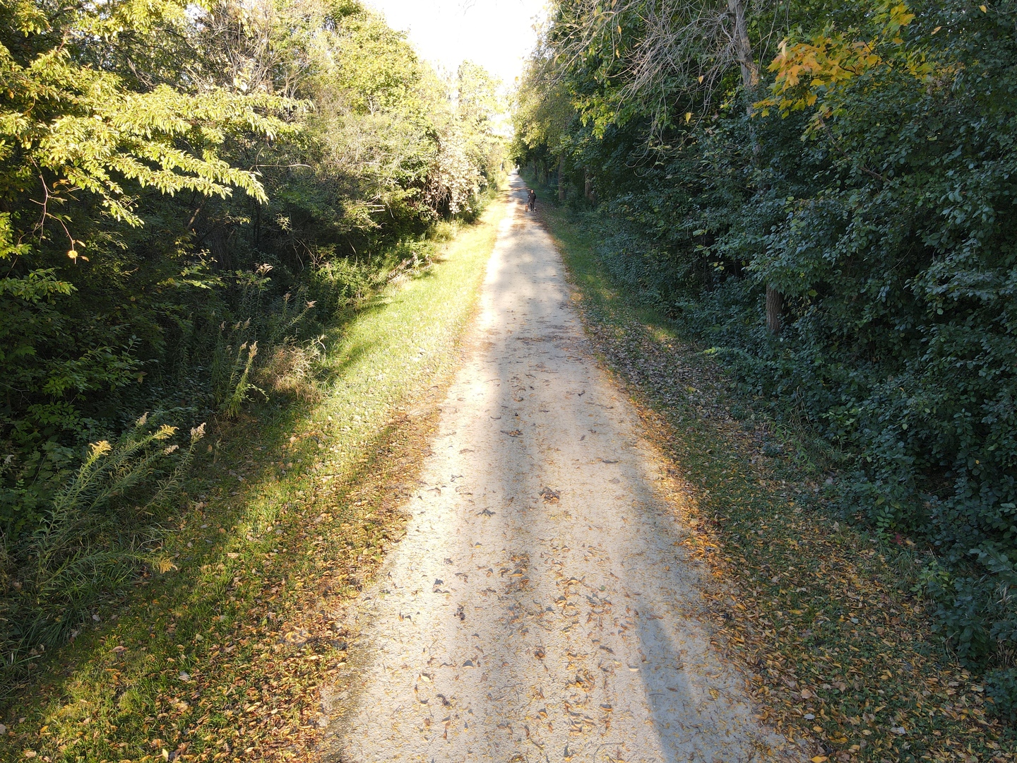 29W051 Warrenville Road, Warrenville, IL 60555