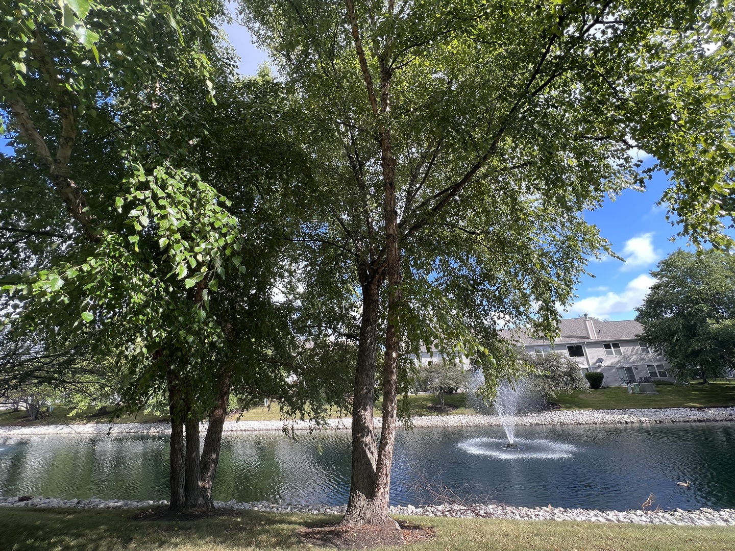 3261 Cool Springs Court, Naperville, IL 60564