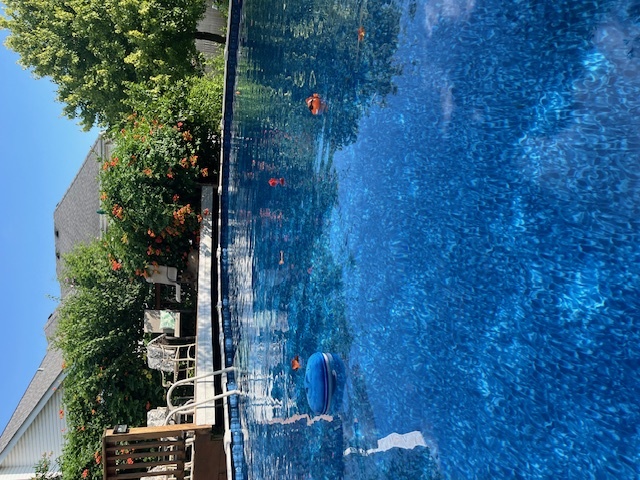 413 Navajo Drive, New Lenox, IL 60451