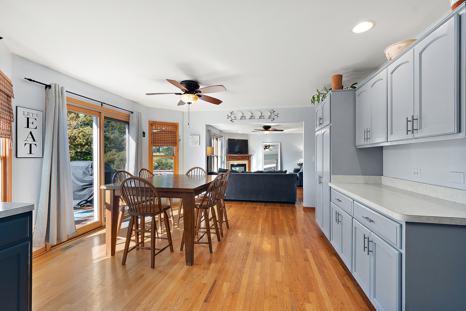 413 Navajo Drive, New Lenox, IL 60451