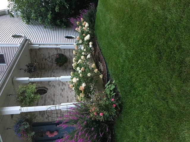 413 Navajo Drive, New Lenox, IL 60451