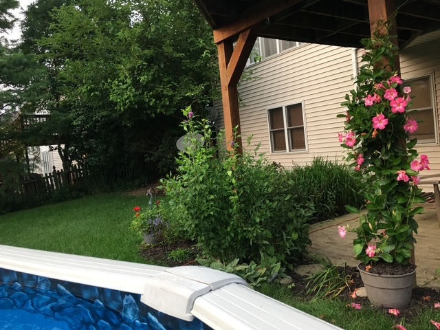 413 Navajo Drive, New Lenox, IL 60451