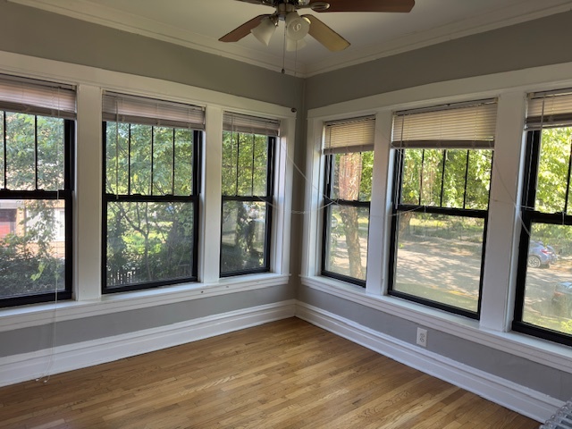 313 N Oak Park Avenue #1B, Oak Park, IL 60302