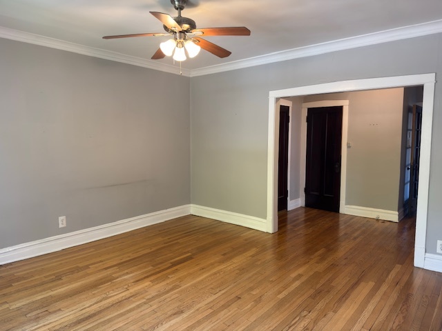 313 N Oak Park Avenue #1B, Oak Park, IL 60302