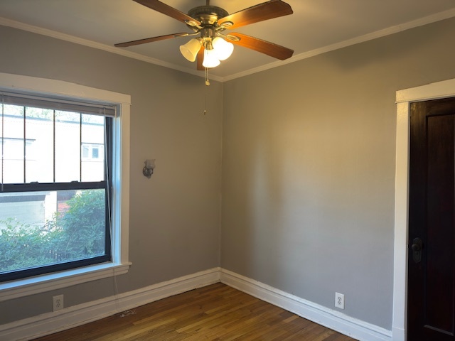 313 N Oak Park Avenue #1B, Oak Park, IL 60302