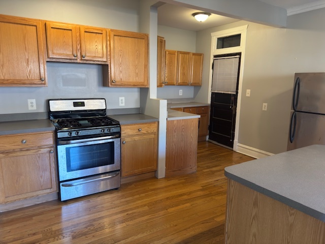 313 N Oak Park Avenue #1B, Oak Park, IL 60302