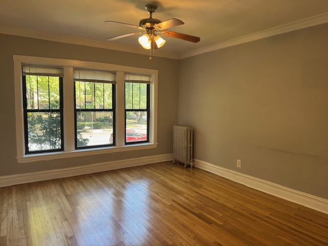 313 N Oak Park Avenue #1B, Oak Park, IL 60302