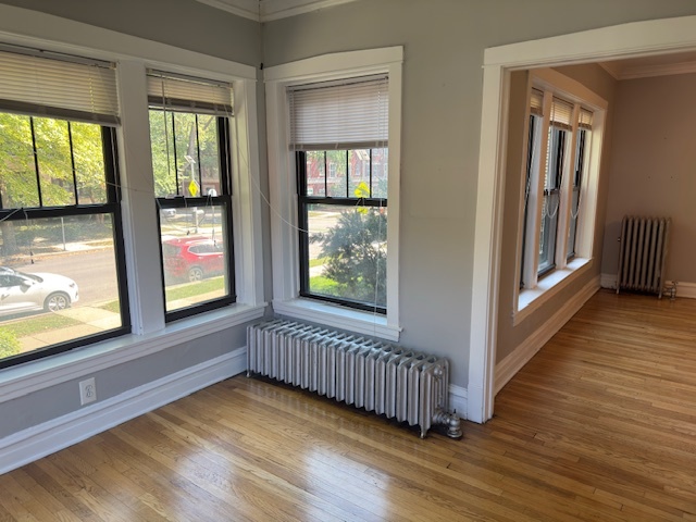 313 N Oak Park Avenue #1B, Oak Park, IL 60302