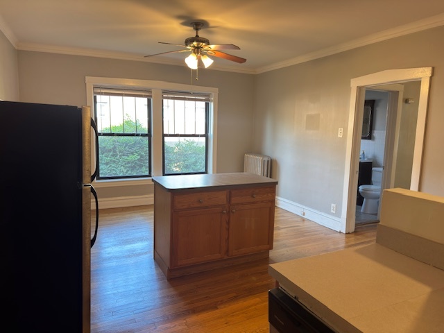 313 N Oak Park Avenue #1B, Oak Park, IL 60302