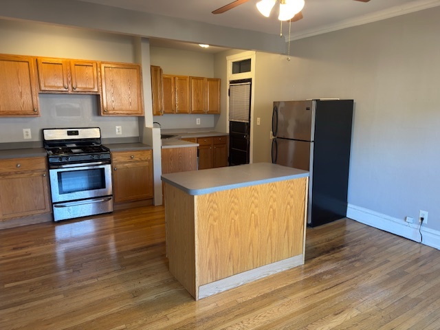 313 N Oak Park Avenue #1B, Oak Park, IL 60302