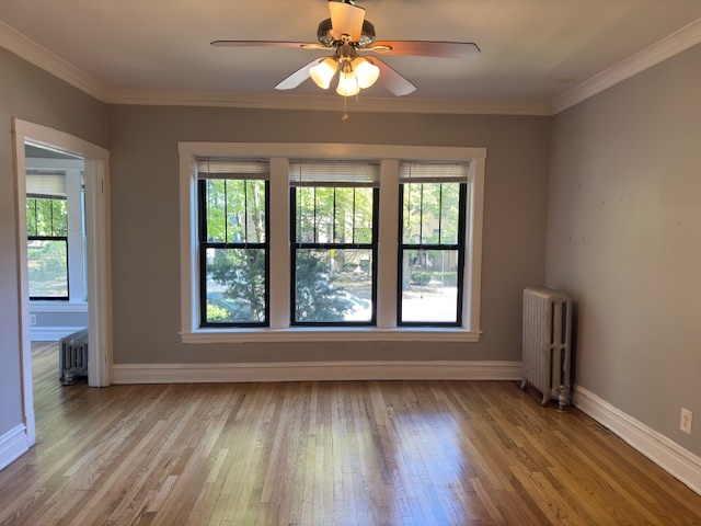 313 N Oak Park Avenue #1B, Oak Park, IL 60302