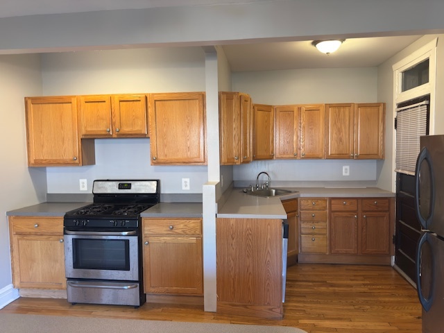 313 N Oak Park Avenue #1B, Oak Park, IL 60302