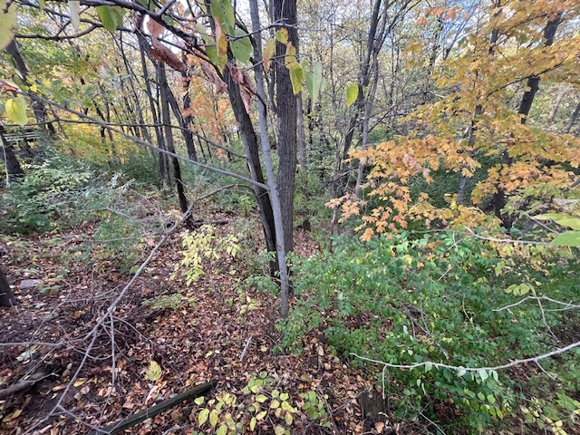 2795 E 28th Lot 1445 Road, Seneca, IL 61360