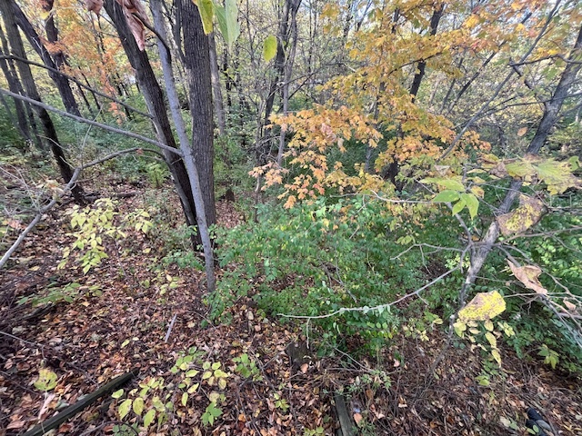 2795 E 28th Lot 1445 Road, Seneca, IL 61360