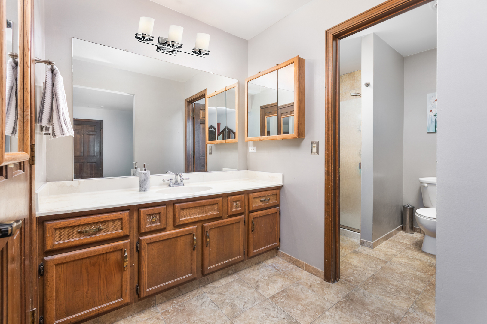 1386 Old Dominion Court, Naperville, IL 60540