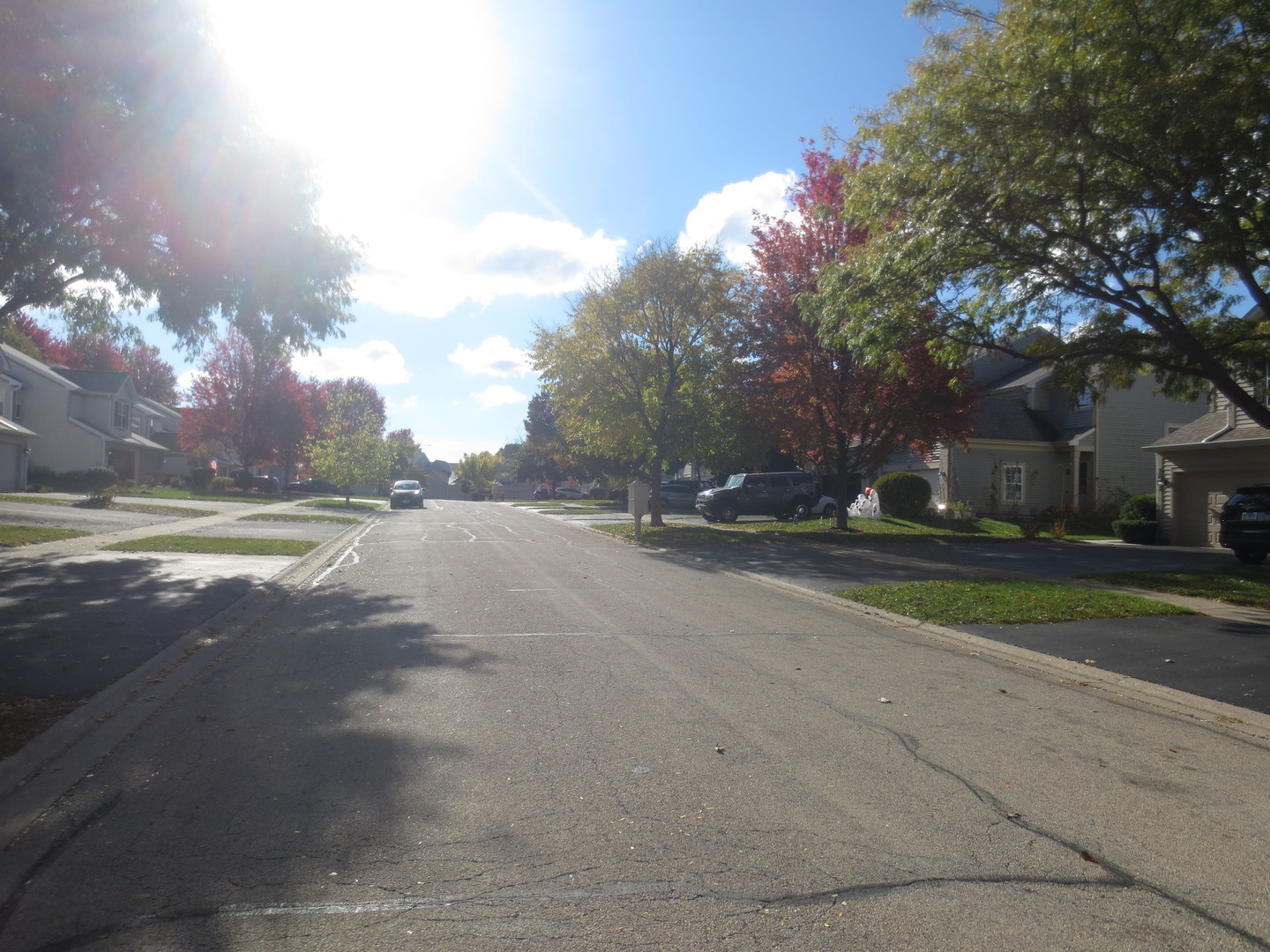 1049 Horizon Ridge, Lake In The Hills, IL 60156