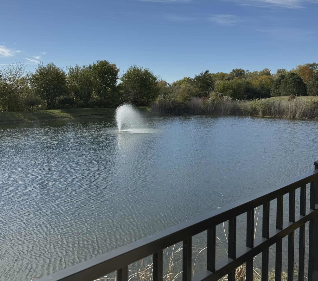 14627 Kildare Street, Homer Glen, IL 60491