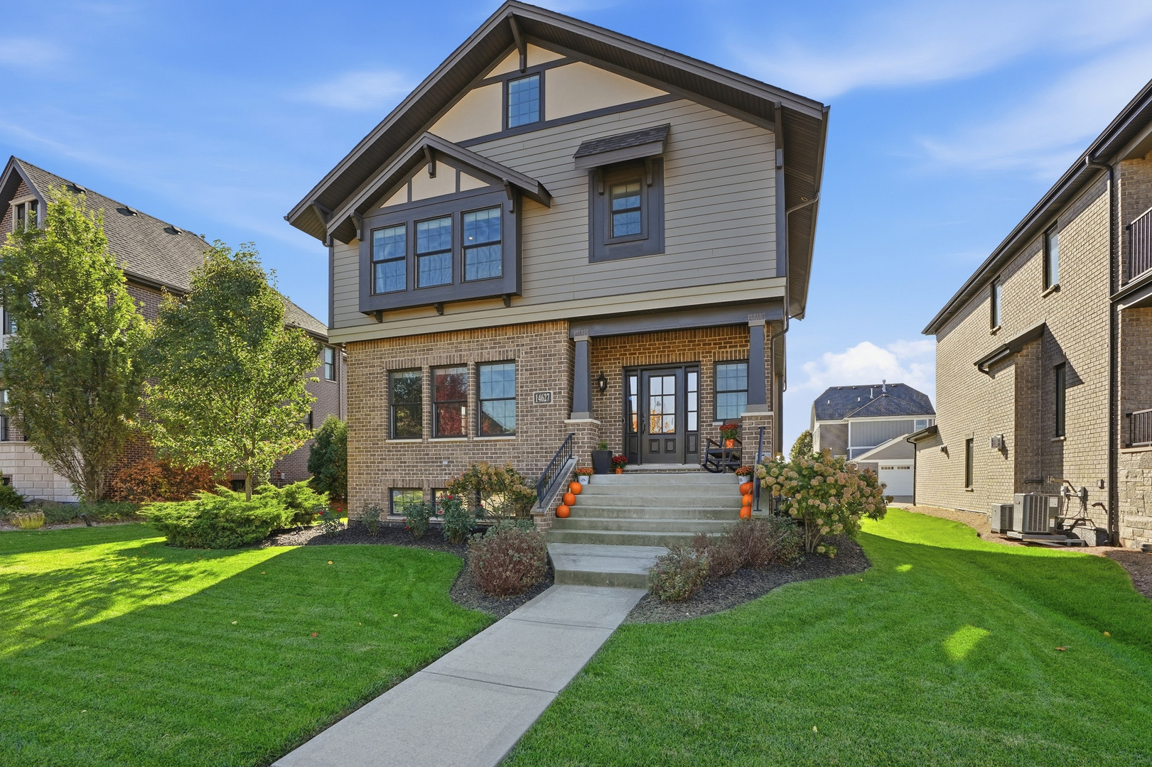 14627 Kildare Street, Homer Glen, IL 60491