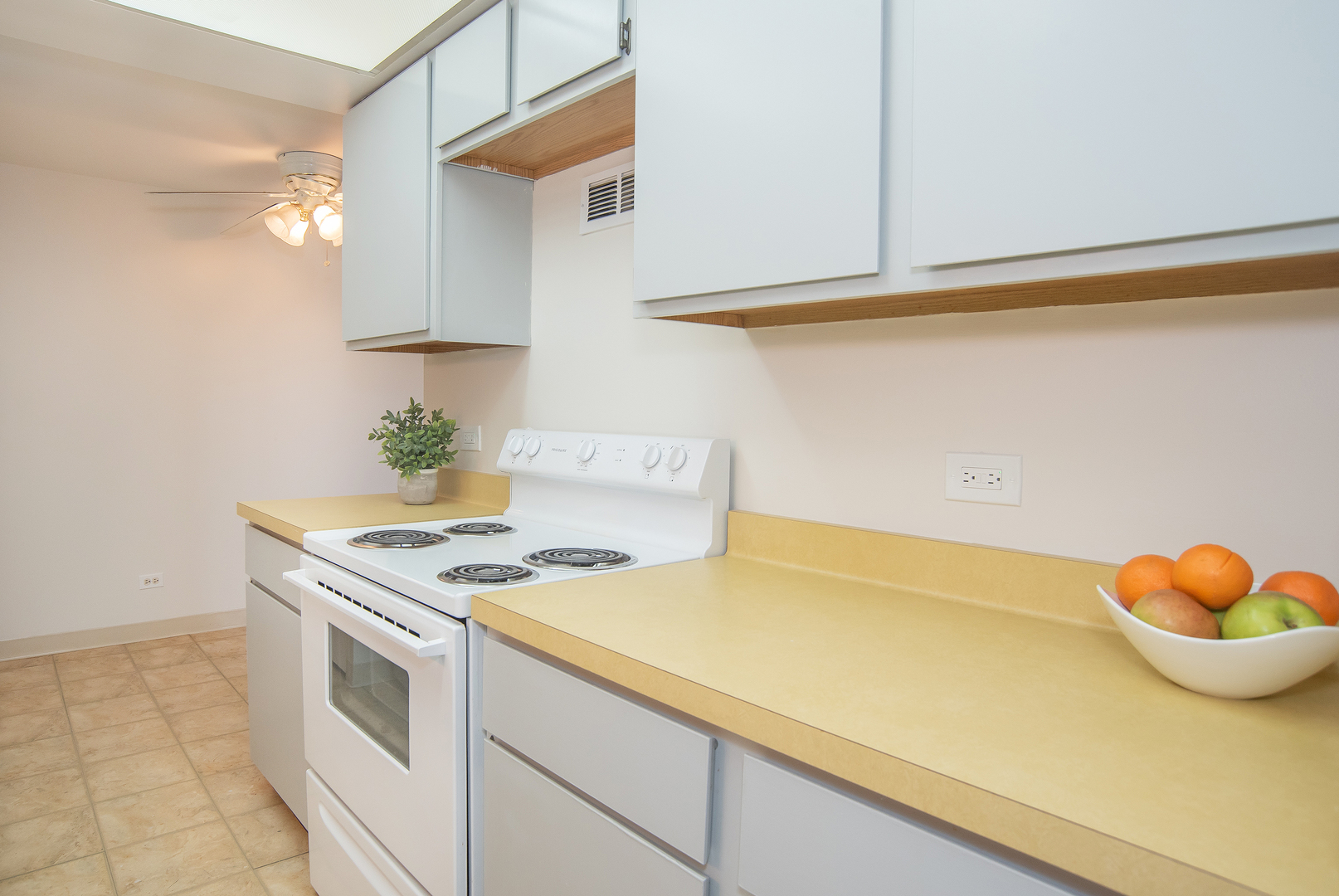 6340 Americana Drive #513, Willowbrook, IL 60527