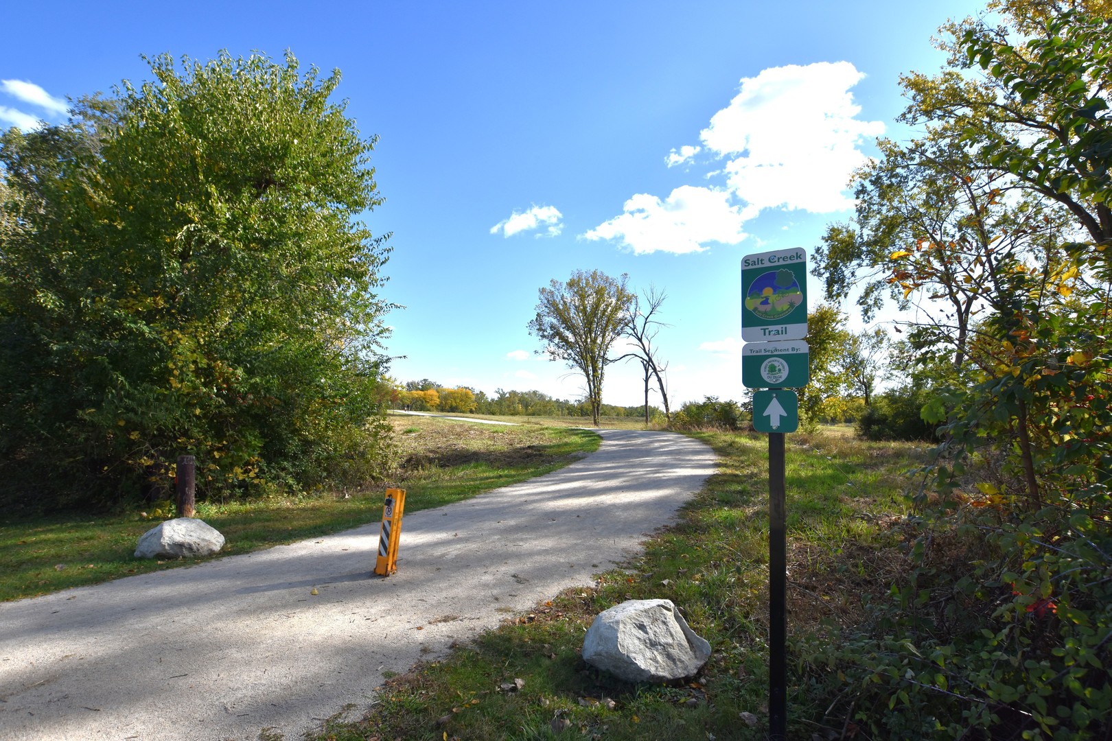 906 E Babcock Avenue, Addison, IL 60101