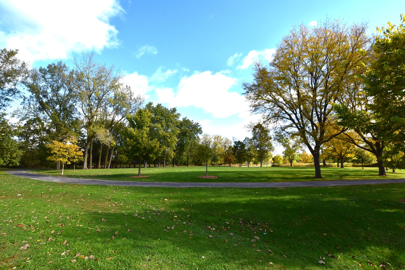 906 E Babcock Avenue, Addison, IL 60101