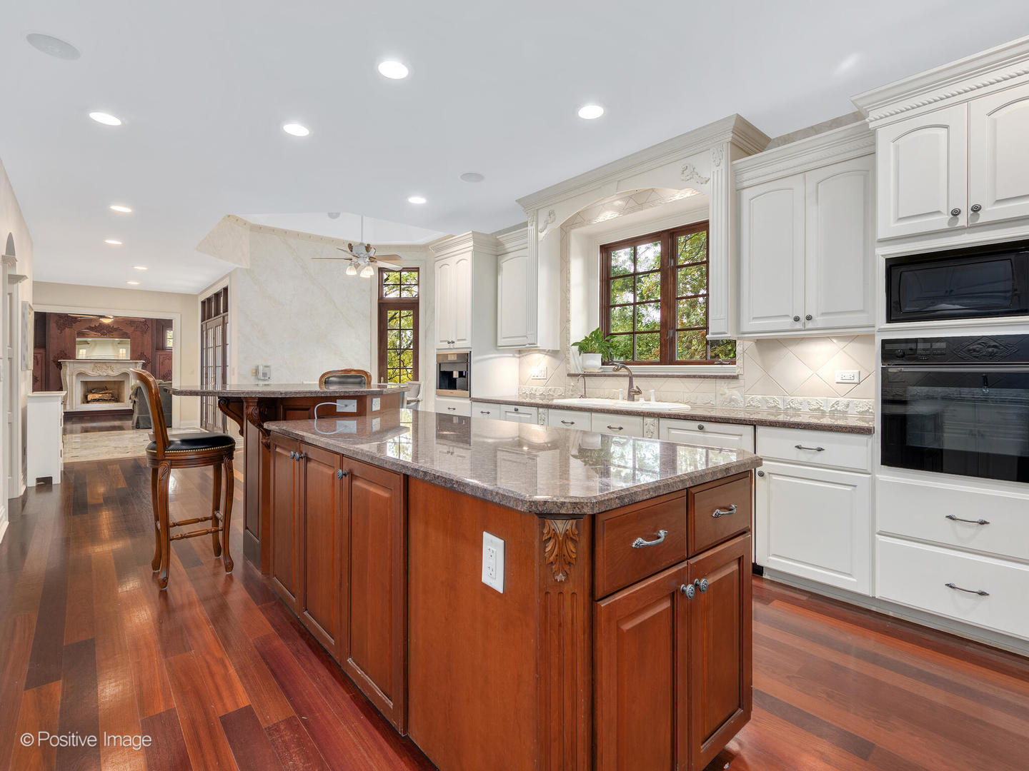 817 Lakeview Lane, Burr Ridge, IL 60527