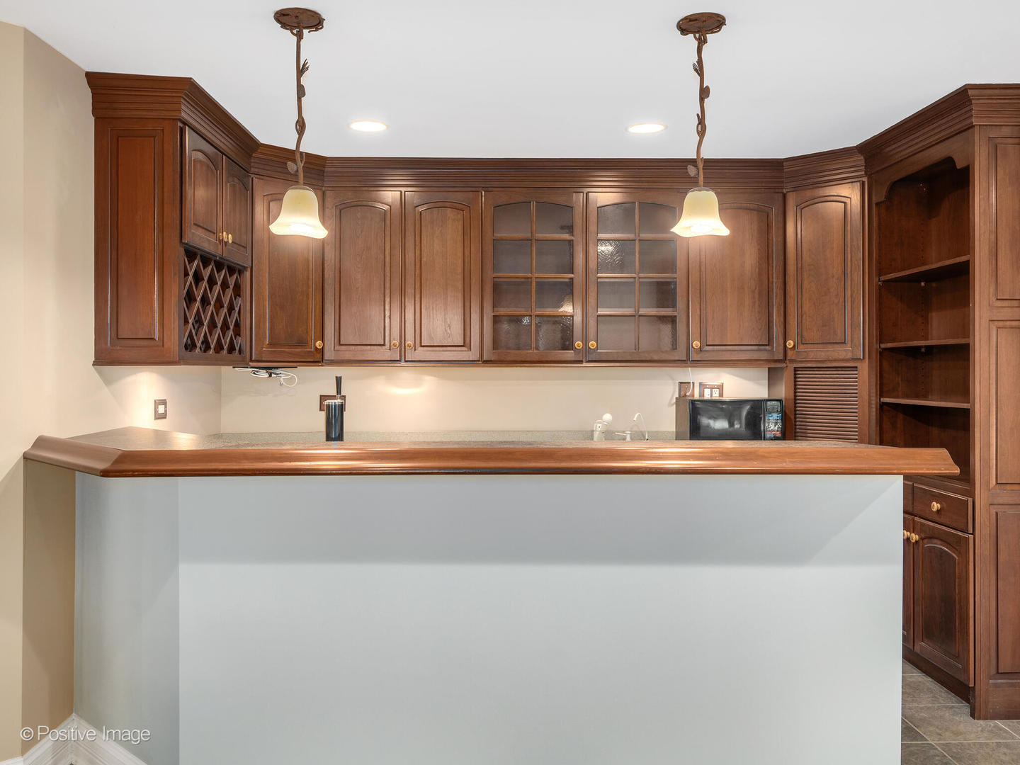 817 Lakeview Lane, Burr Ridge, IL 60527