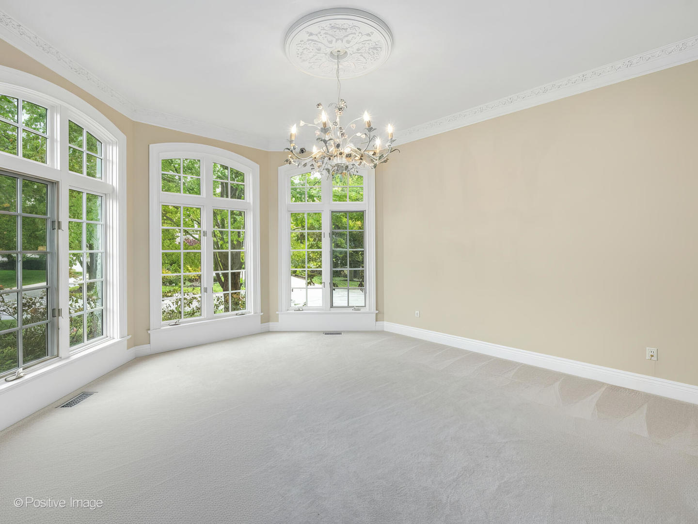 817 Lakeview Lane, Burr Ridge, IL 60527