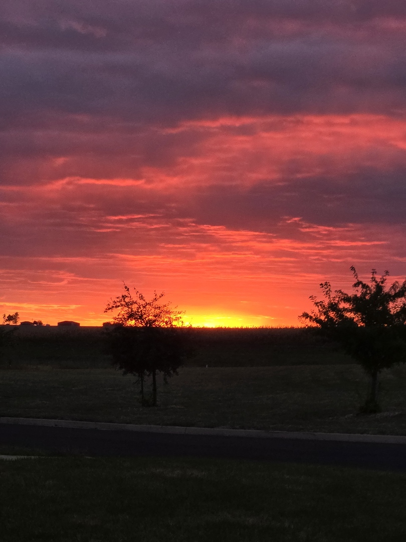 5080 Dasher Drive, Heyworth, IL 61745