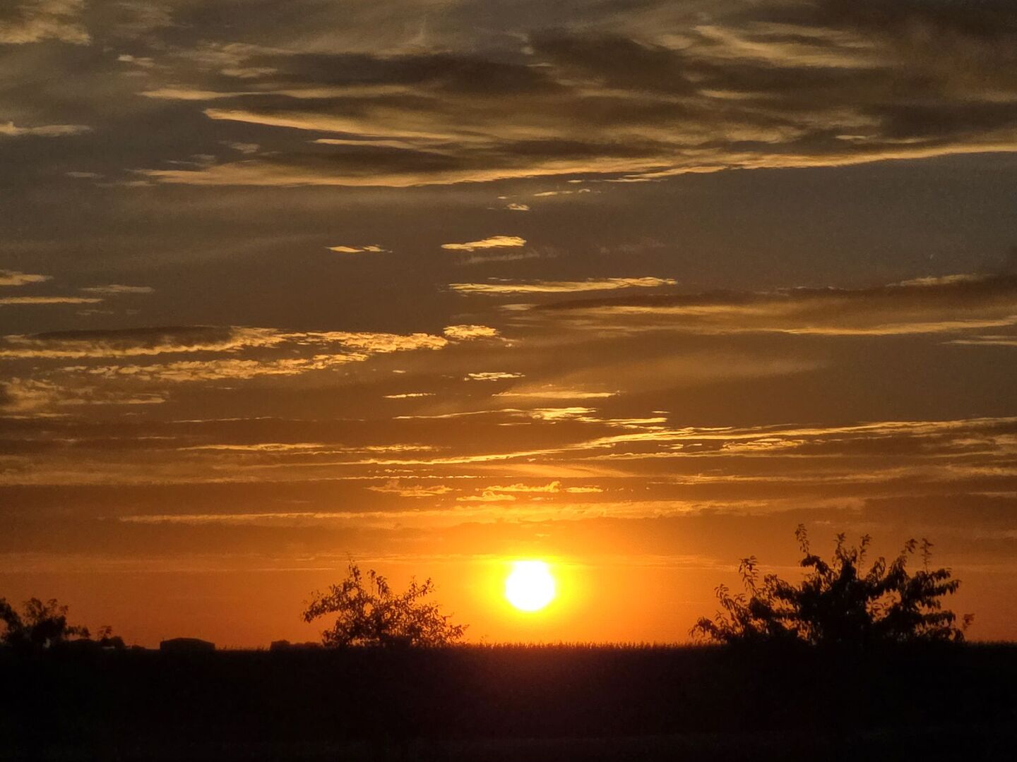 5080 Dasher Drive, Heyworth, IL 61745