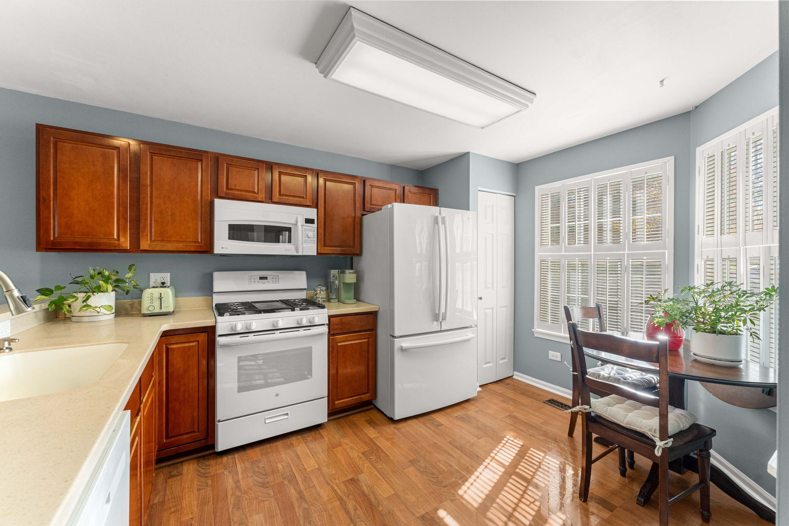 1451 Meadowsedge Lane, Carpentersville, IL 60110