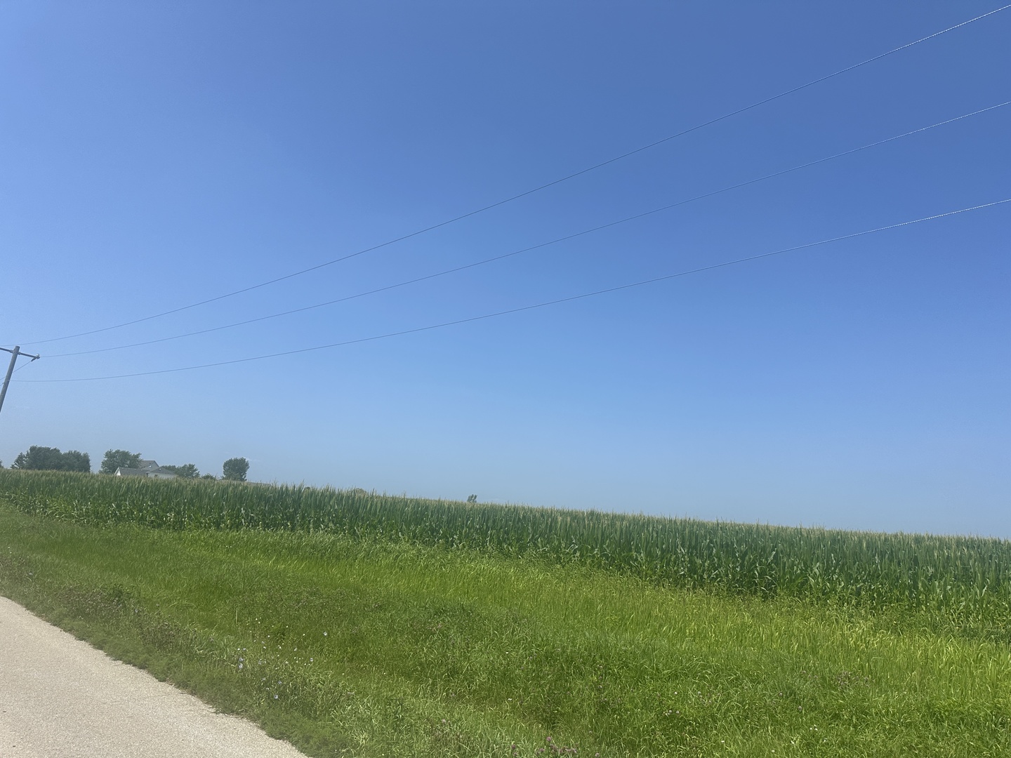 Tract 1 Schoolhouse/haley rd Road, Manhattan, IL 60442